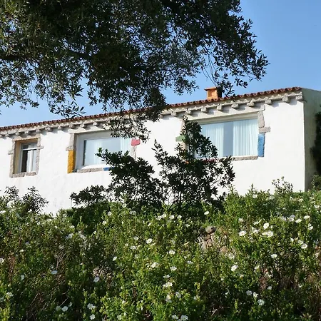 Guest house La Scala Guesthouse Berchiddeddu